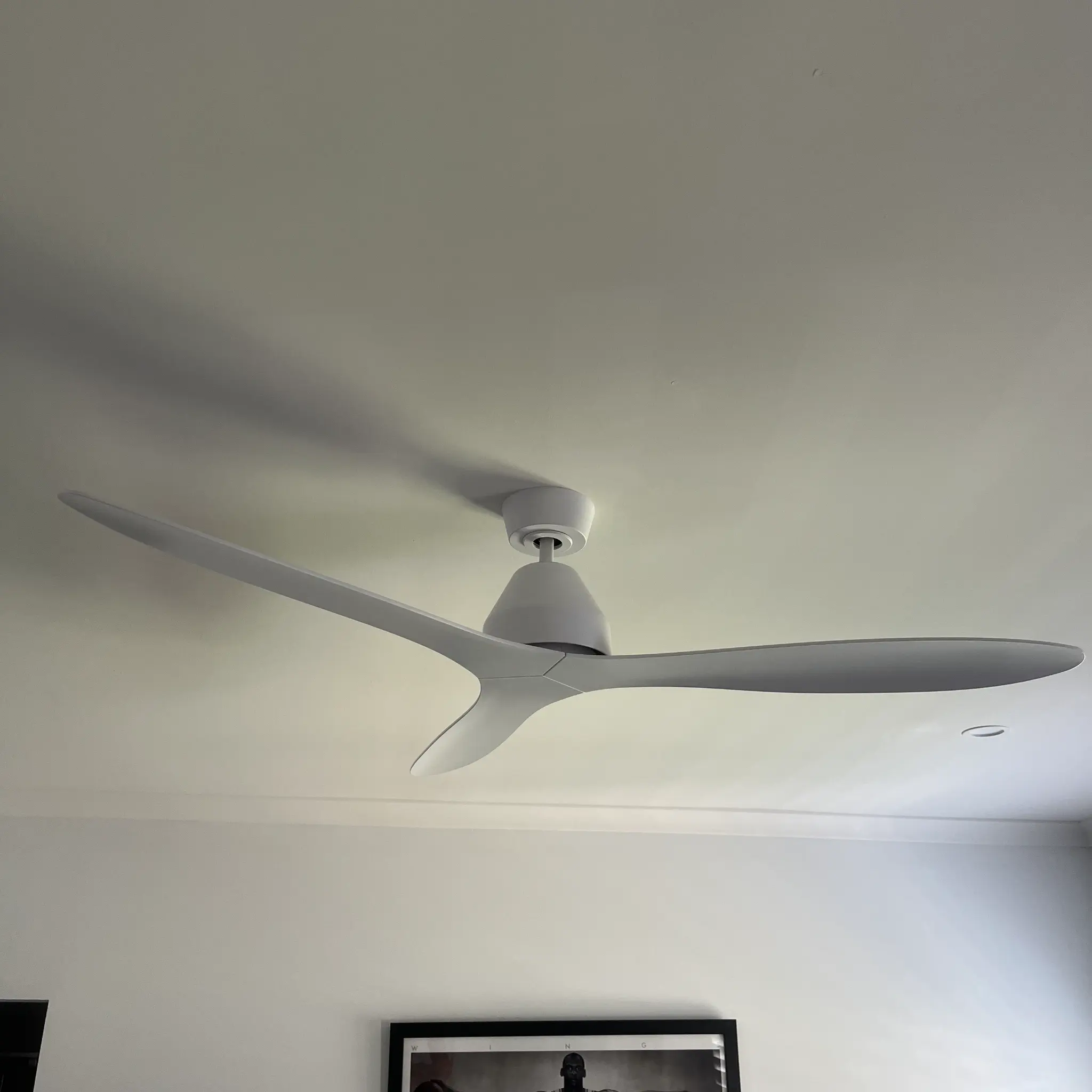 Ceiling fan installation — Fawkner VIC